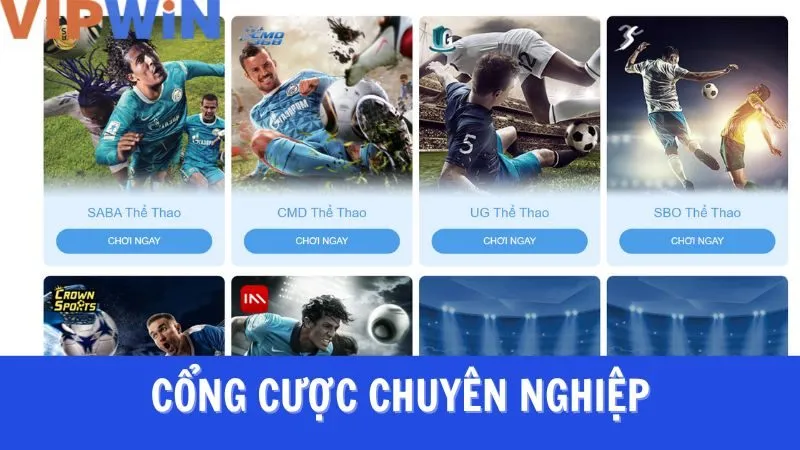 Những trò cá cược thể thao nổi bật tại VIPWIN