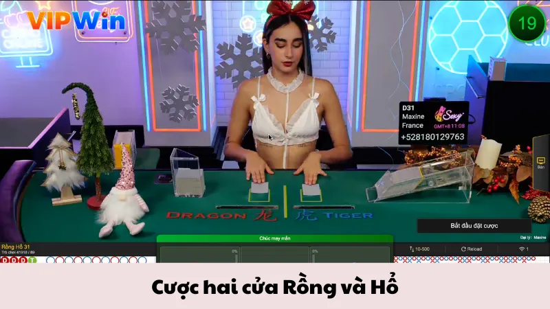 Cược hai cửa Rồng và Hổ