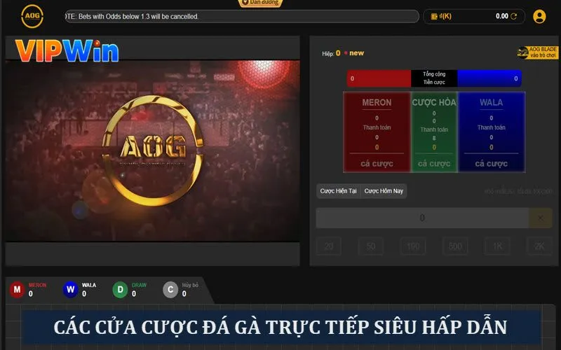 Các cửa cược đá gà tại sảnh chơi nhà cái Vipwin