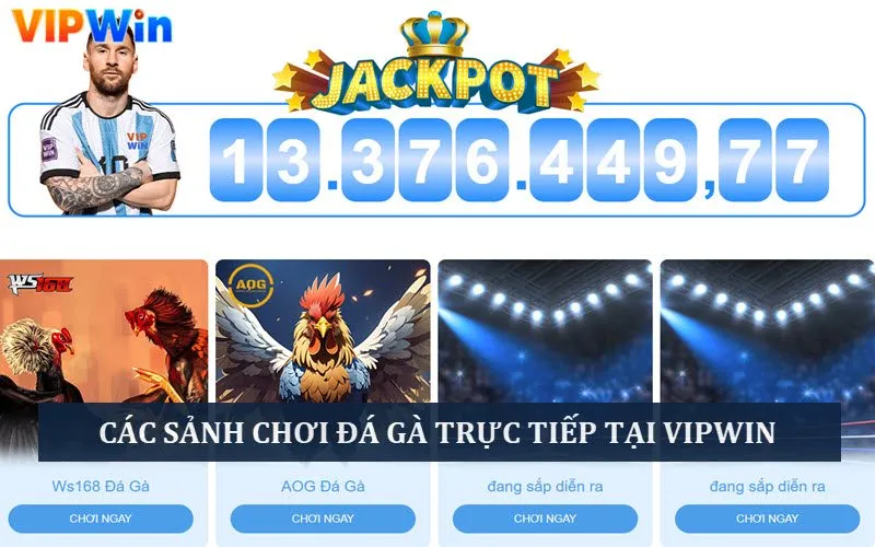 Các sảnh chơi chọi gà trực tiếp ở Vip win