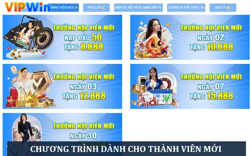 Các chương trình hot dành cho thành viên mới đăng ký